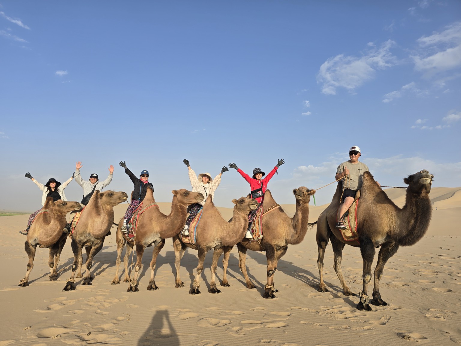 Travelers with camels in the Gobi Desert