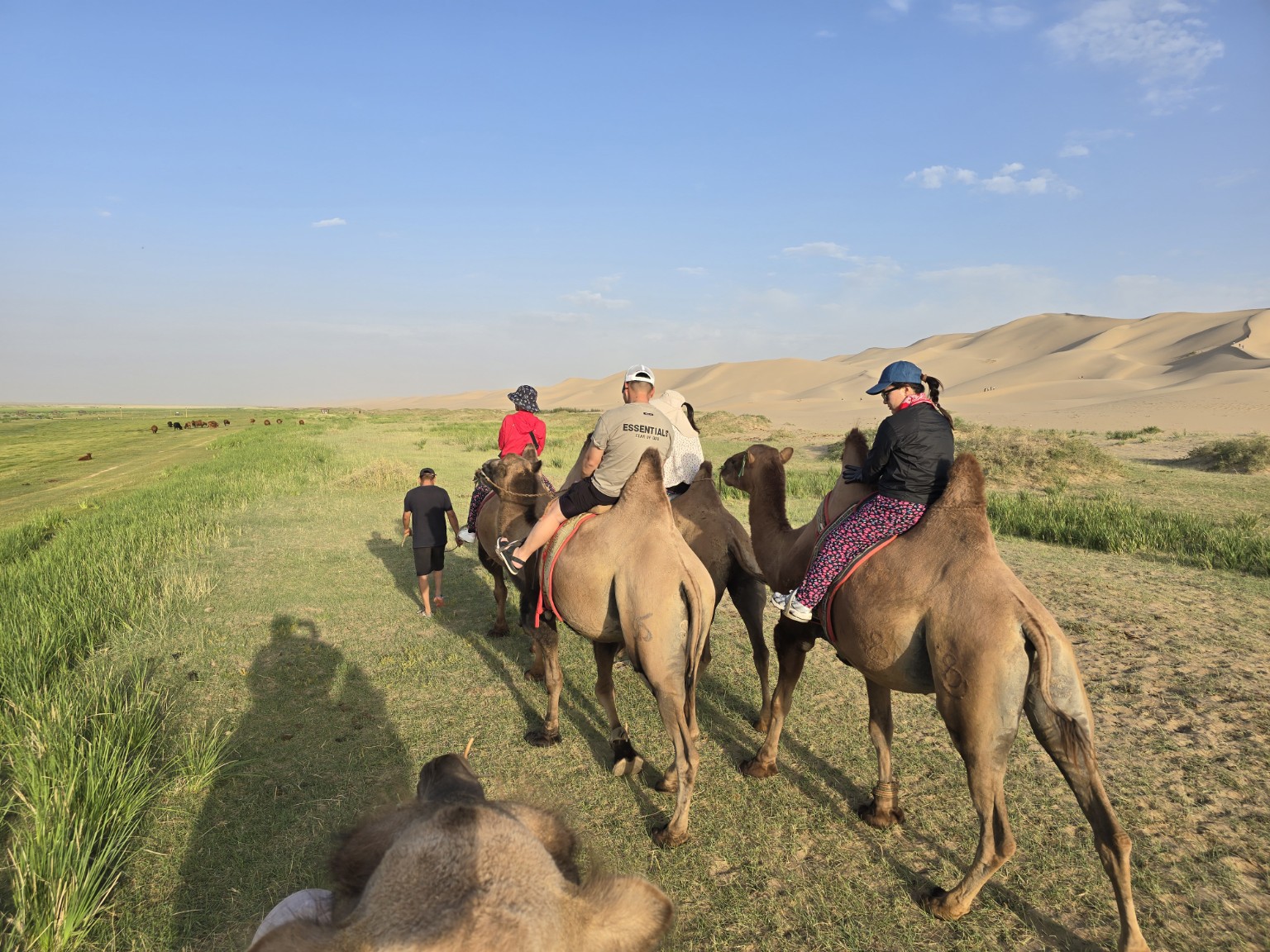 Travelers riding camels beside the Gobi dunes